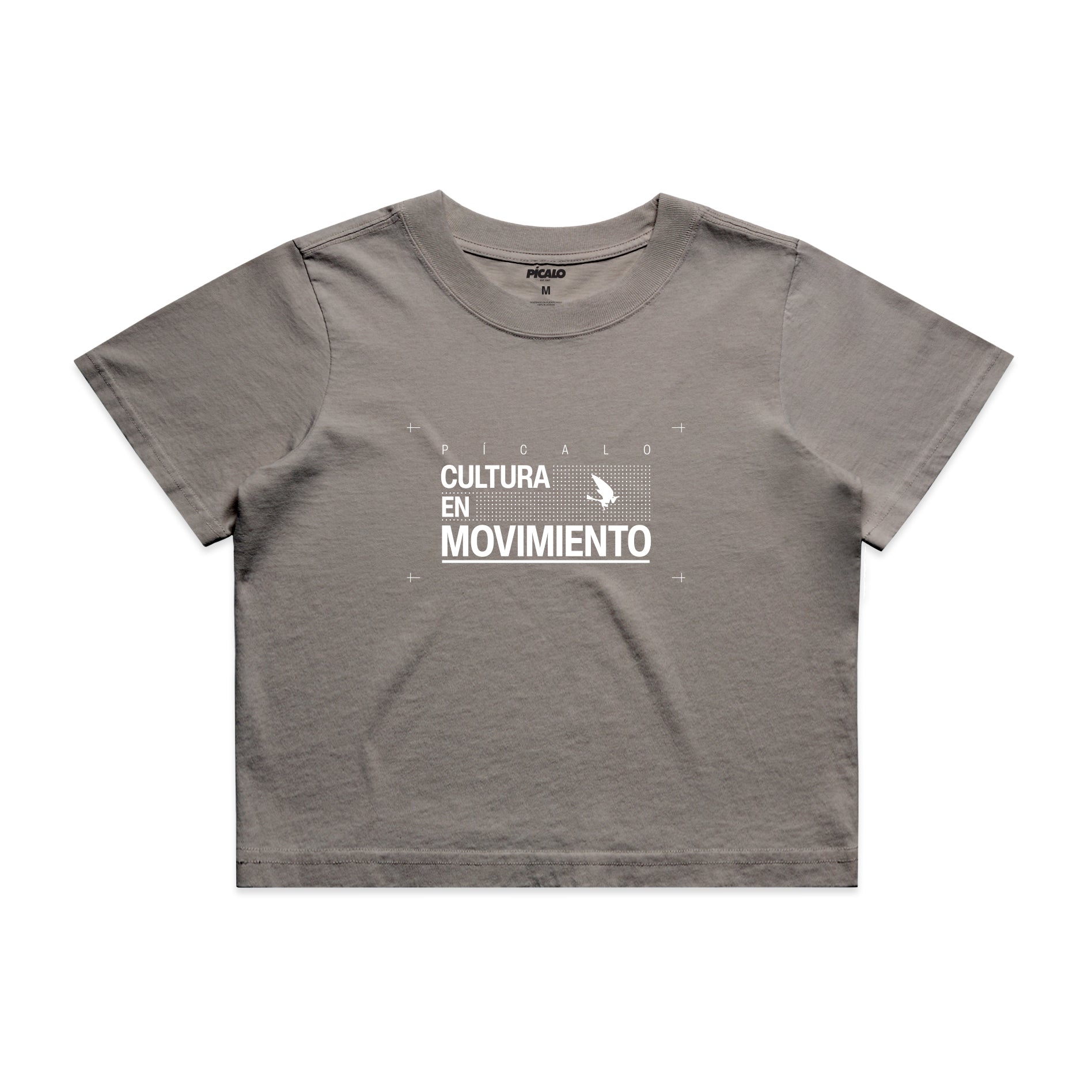 Cultura en Movimiento crop (gris)